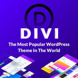 divi theme