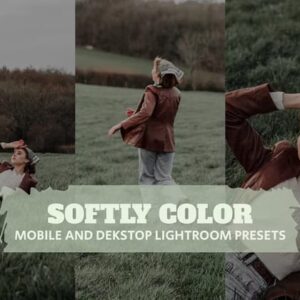 mobile and desktop lightroom presets