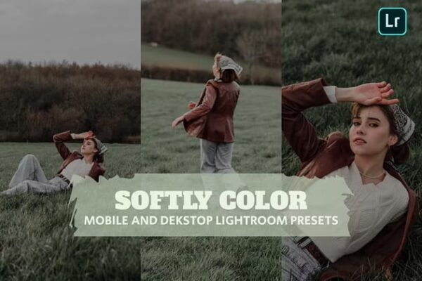 mobile and desktop lightroom presets